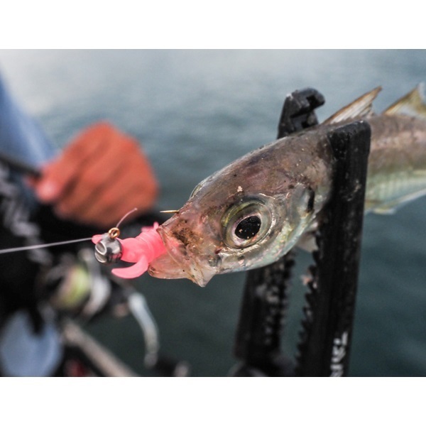 月下美人　ブレーキンビーム　2.0インチ